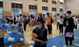 吴川小学爆料事件最新消息,最新进展及影响揭秘